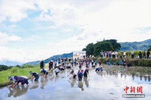 ���Ϲ����������ݡ���ؿ񻶡� �������¼��������ռ�