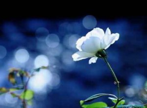 <b>ҹ������Ҳշת������</b>