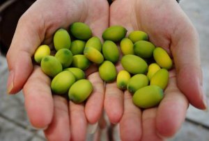 ��ʹ��˲���մ������ࡢ����ʱ�ǵ÷Ű��������ܽ�ѹ��˯��