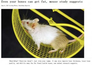 �ܲ��������ù���������