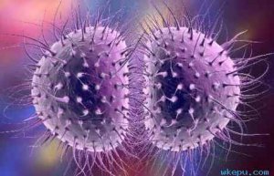 ��ѧ�����ܷ����������ܲ���