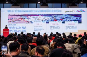 <b>���Ԫ��ѩ���� ��ʮ��조�񳲡����ֱ�ѩ������12����Ѯ��Ļ</b>