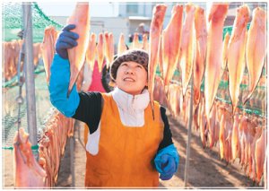 ��ζ�ķִ磬����ΰ���